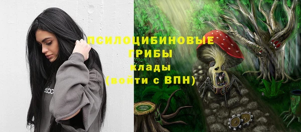 дурь Вязники